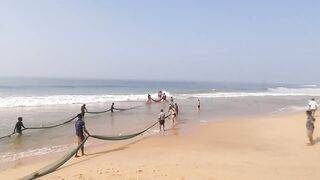 Шри-Ланка, Хиккадува - рыбалка: здесь рыба есть!