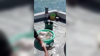 Групповая экскурсия Рыбалка на Фукуоке во Вьетнаме
