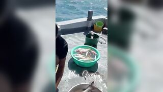 Групповая экскурсия Рыбалка на Фукуоке во Вьетнаме