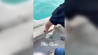 Групповая экскурсия Рыбалка на Фукуоке во Вьетнаме
