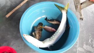 Рыбалка на Фукуоке - первые трофеи