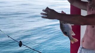 Рыбалка на Фукуоке - первые трофеи