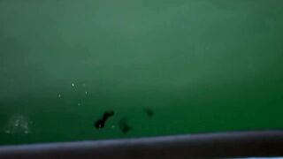 Рыбалка на Фукуоке - осьминоги, каракатицы и кальмары: что удалось поймать?