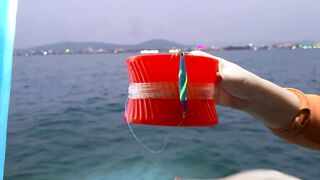 Рыбалка на Фукуоке - осьминоги, каракатицы и кальмары: что удалось поймать?