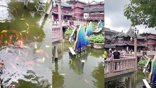 Нашёл идеальное место для рыбалки в Шанхае