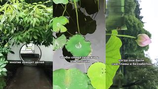 Семейная рыбалка в шанхайском парке #дети #родители #шанхай #китай #рыбалка