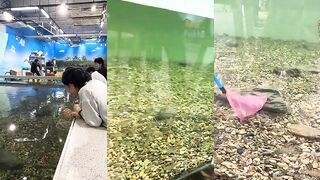 Мой шок в шоке - вот это да