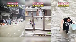 После тайфуна морская вода залила Макао - рыбу ловят прямо на улицах