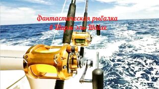 Рыбалка в Шарм-эль-Шейхе и Дахабе