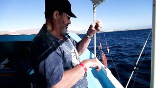 Рыбалка в Шарм-эль-Шейхе и Дахабе