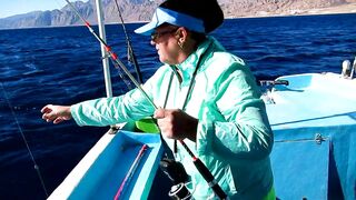 Рыбалка в Шарм-эль-Шейхе и Дахабе