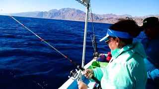 Рыбалка в Шарм-эль-Шейхе и Дахабе