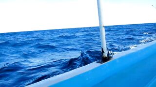 Рыбалка в Шарм-эль-Шейхе и Дахабе