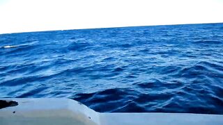 Рыбалка в Шарм-эль-Шейхе и Дахабе