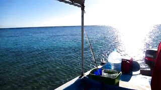 Рыбалка в Шарм-эль-Шейхе и Дахабе