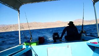 Рыбалка в Шарм-эль-Шейхе и Дахабе