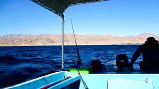 Рыбалка в Шарм-эль-Шейхе и Дахабе