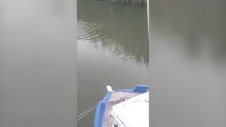 Antalya, Boğazkent, Balıkçı Barınağı, ловля лаврака
