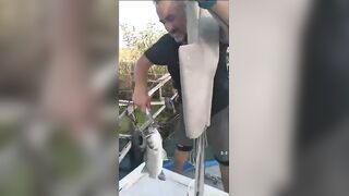 Antalya, Boğazkent, Balıkçı Barınağı, ловля лаврака
