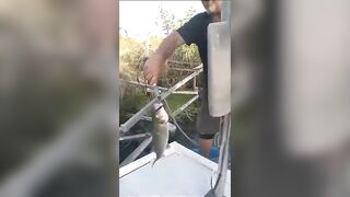 Antalya, Boğazkent, Balıkçı Barınağı, ловля лаврака