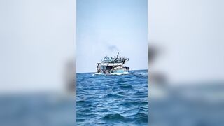 Александрия, Египет, здесь полно рыбы