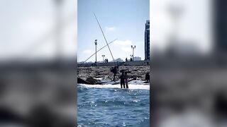 Александрия, Египет, здесь полно рыбы