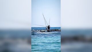 Александрия, Египет, здесь полно рыбы