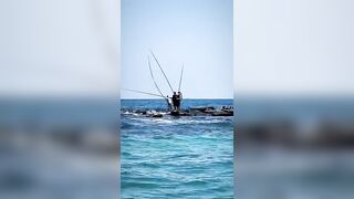 Александрия, Египет, здесь полно рыбы