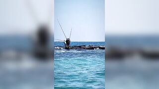 Александрия, Египет, здесь полно рыбы