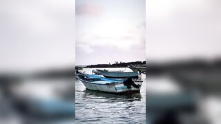Александрия, Египет, здесь полно рыбы