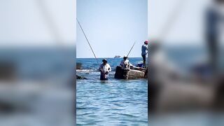 Александрия, Египет, здесь полно рыбы