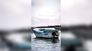 Александрия, Египет, здесь полно рыбы