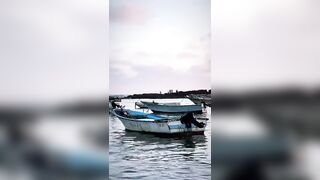 Александрия, Египет, здесь полно рыбы