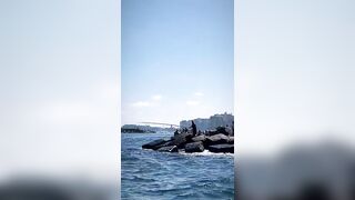Александрия, Египет, здесь полно рыбы
