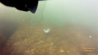 Spearfishing sea bass in Alexandria, head shots