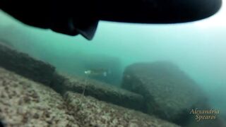 Spearfishing sea bass in Alexandria, head shots