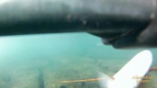 Spearfishing sea bass in Alexandria, head shots