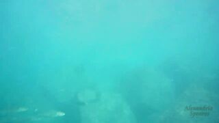 Spearfishing sea bass in Alexandria, head shots