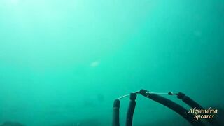 Spearfishing sea bass in Alexandria, head shots