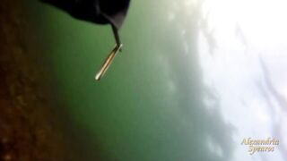 Spearfishing sea bass in Alexandria, head shots