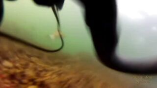 Spearfishing sea bass in Alexandria, head shots