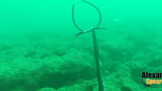 Spearfishing in Alexandria, Egypt 2017, Destination Croatia