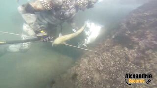 Spearfishing in Alexandria, Egypt 2017, Destination Croatia