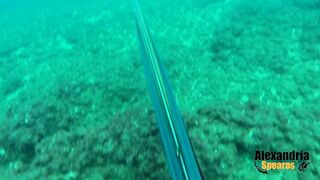 Spearfishing in Alexandria, Egypt 2017, Destination Croatia