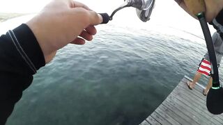 2015 12 27 Самет, light rock fishing (Ko Samet, Thailand)