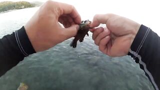 2015 12 27 Самет, light rock fishing (Ko Samet, Thailand)