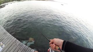2015 12 27 Самет, light rock fishing (Ko Samet, Thailand)