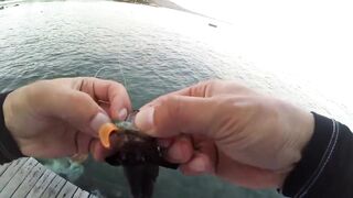 2015 12 27 Самет, light rock fishing (Ko Samet, Thailand)