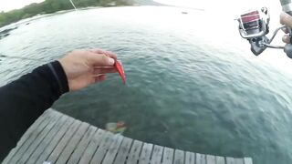 2015 12 27 Самет, light rock fishing (Ko Samet, Thailand)