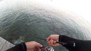 2015 12 27 Самет, light rock fishing (Ko Samet, Thailand)